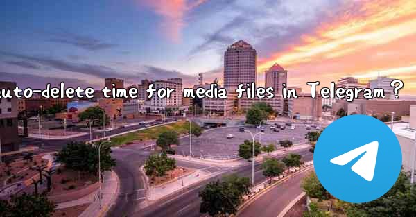 How to set the auto-delete time for media files in Telegram？