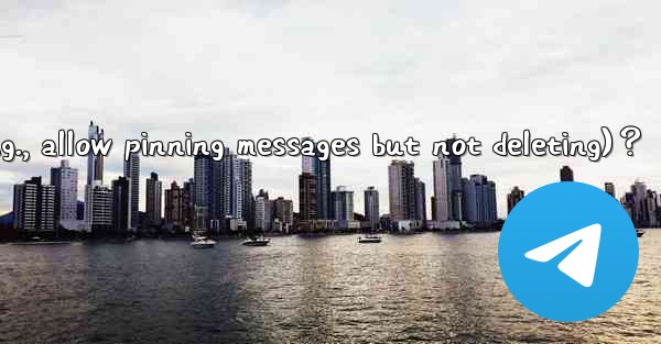 How to set Telegram admin permissions (e.g., allow pinning m