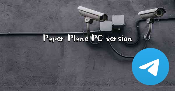 Paper Plane PC version